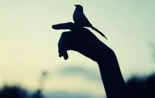 怜悯心可有，但请别泛滥