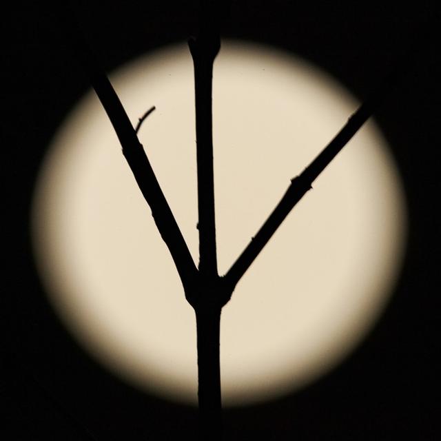 关于脾气脾气这东西