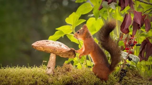 人心能换来人心吗？(句句见血)