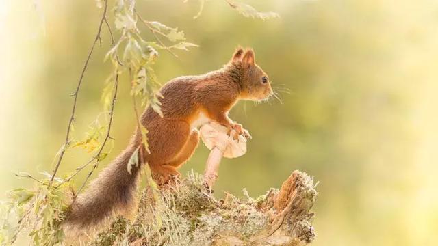 人心能换来人心吗？(句句见血)