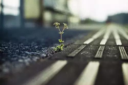 放下吧！一切没有想象的那么难