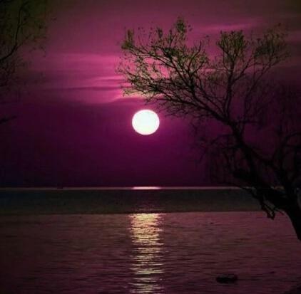 从三毛的经典美句中，感受她如水般的柔情