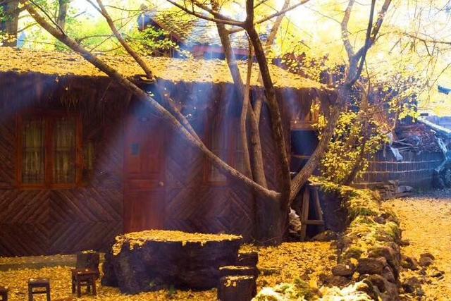 2017最新的鸡汤哲理语录，幽默，精辟，发朋友圈必赞