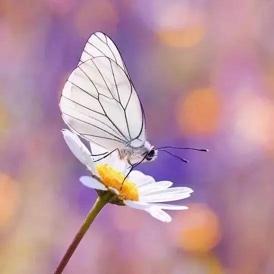 人生六不动 人生六不动