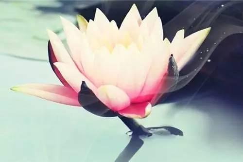 如非万不得已，尽量不要选择退而求其次的选项