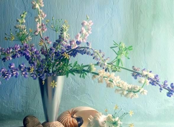 文艺范经典人生感悟图片说说短语 文艺范经典人生感悟图片说说短语