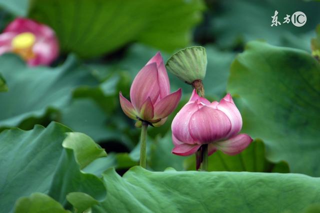 人生再难,也要挺过去 人生再难,也要挺过去