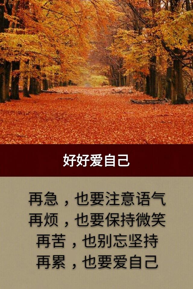 人生：挺好，挺好，挺好，挺好，挺好