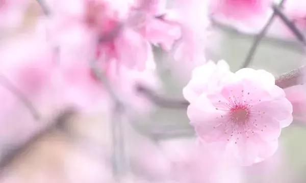 人心，不能冷落；感情，不容敷衍