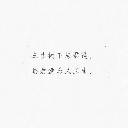 山有木兮木有枝 心悦君兮君不知