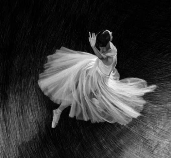 就算无人欣赏,也要活得漂亮 就算无人欣赏,也要活得漂亮