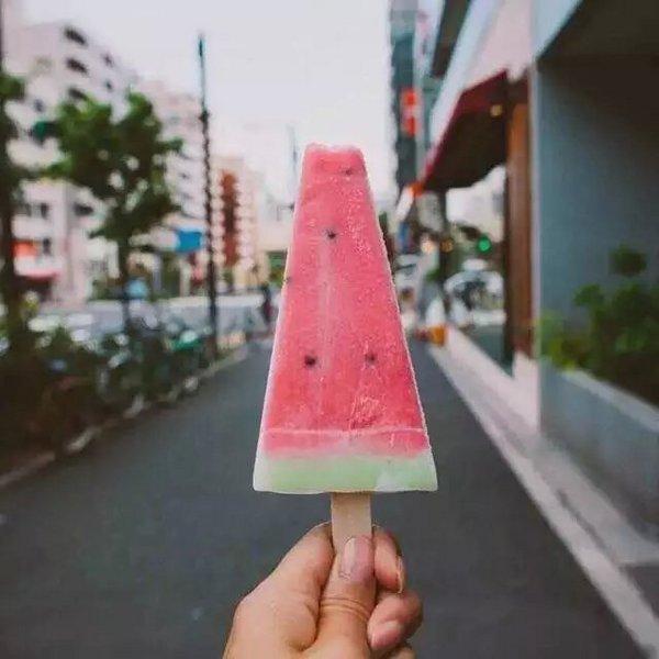 生命本是一次旅行