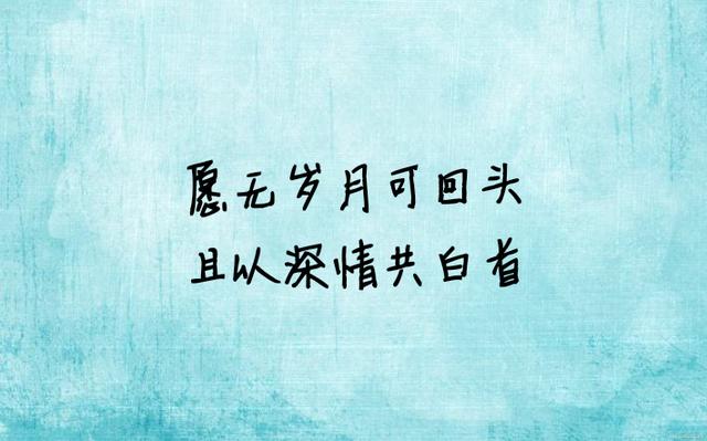 最美的情话：让我来保护你
