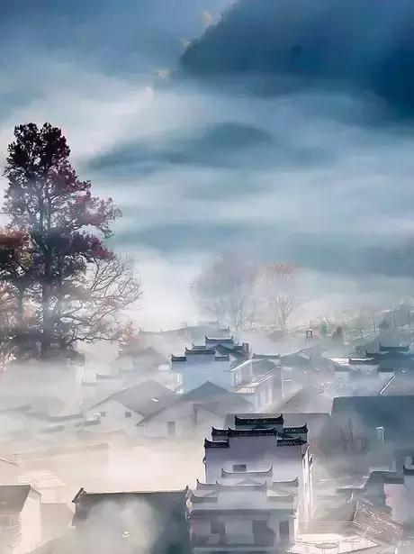 静静地欣赏 静静地欣赏