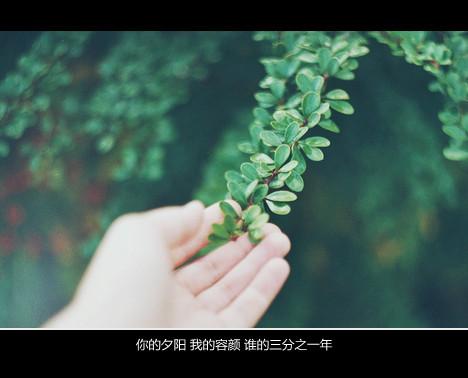 与其羡慕别人，不如做好自己