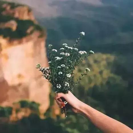忍让不是亏欠，包容不是无能