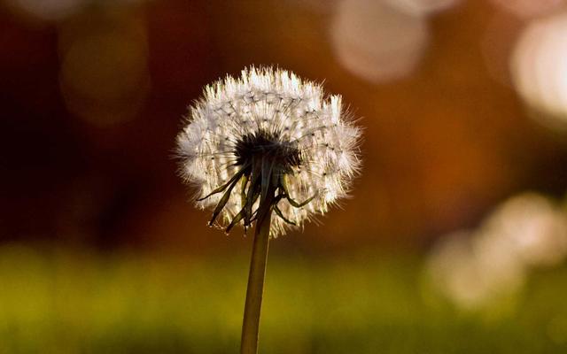 想让别人喜欢你,先要喜欢上对方 想让别人喜欢你,先要喜欢上对方