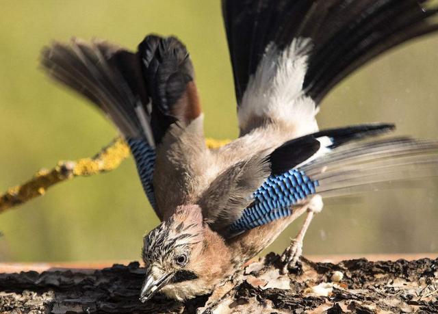 不高看有钱人,不小瞧穷人(精辟) 不高看有钱人,不小瞧穷人(精辟)