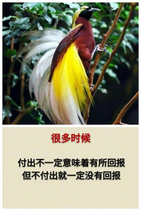 你累吗？（累就看看）