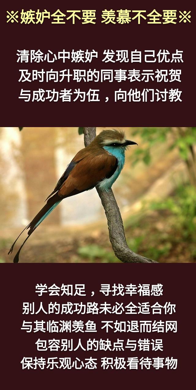 真话不全说，假话全不说