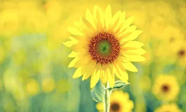 这段话,说进多少人心里 这段话,说进多少人心里