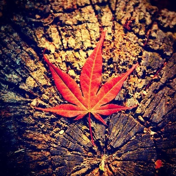 超经典的微信语录