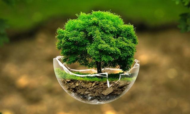 人生感悟：淡看人间事，潇洒天地间