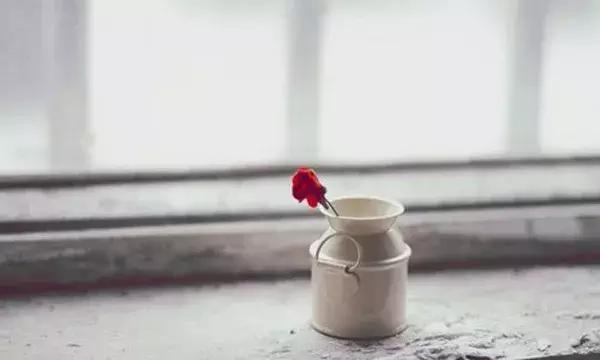 学会放下，你就是赢家