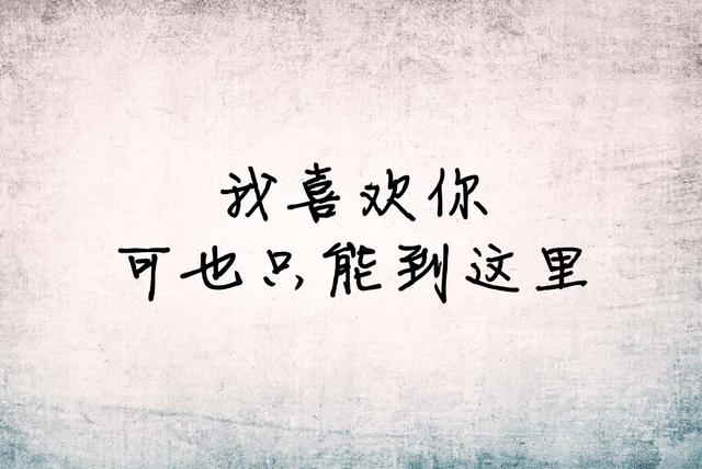 我一厢情愿，我愿赌服输