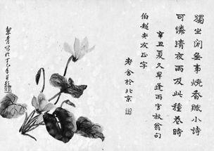 老舍先生的经典语录
