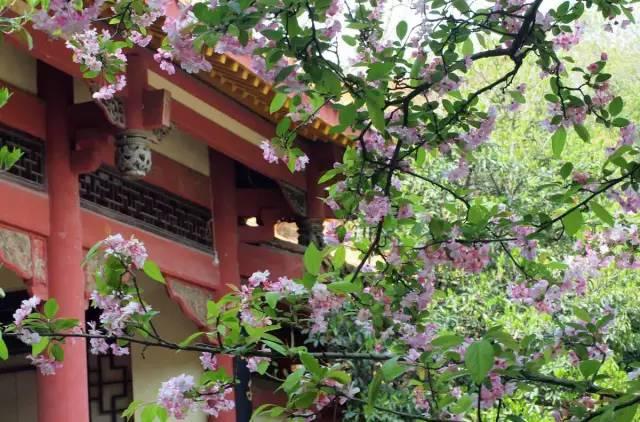 生命不是用来寻找答案的