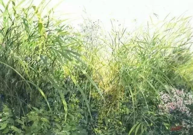 人,一定要活得精彩 人,一定要活得精彩