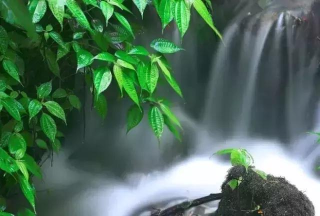 练就一颗忍耐、豁达、睿智的心,幸福才会来