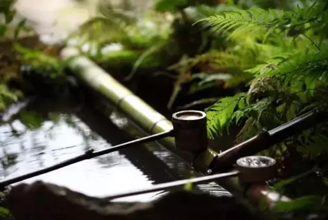 人生需要哪七碗茶？