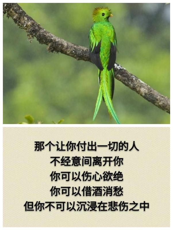 你累吗？（累就看看）