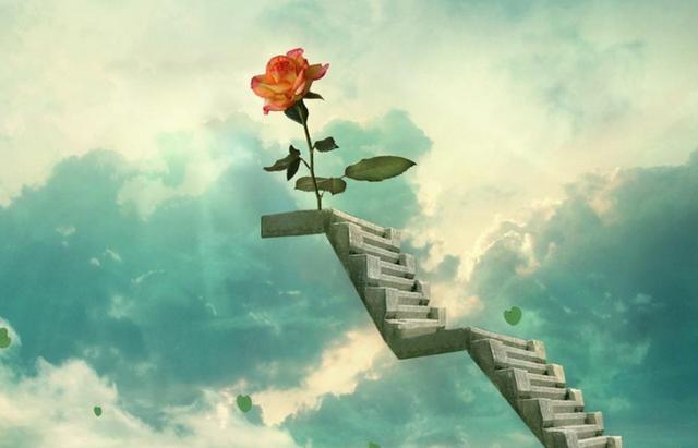 这辈子，你该坚持什么呢？