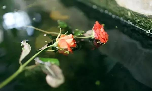 人啊,争什么争 人啊,争什么争