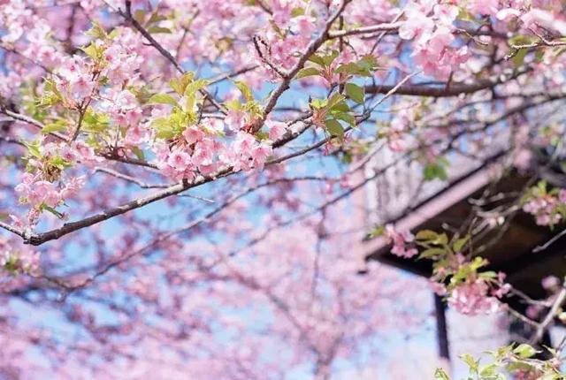 想要别人爱你的话，就要去爱别人，做一个可爱的人