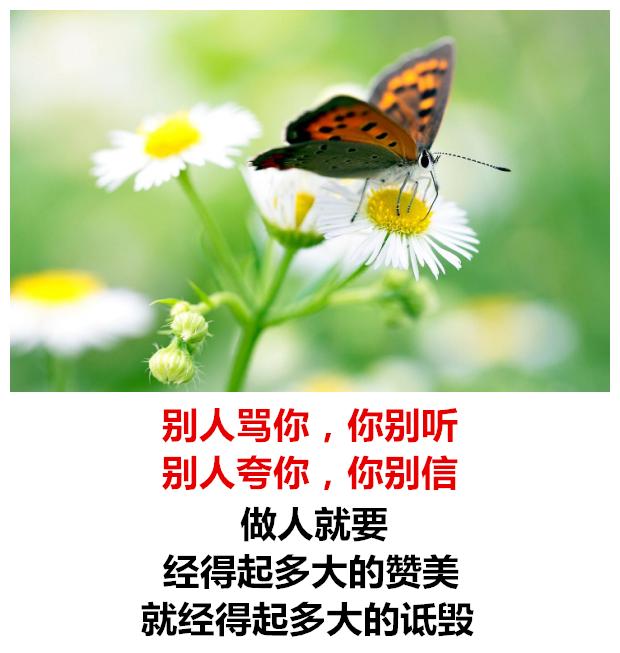 别人骂你，你别听；别人夸你，你别信