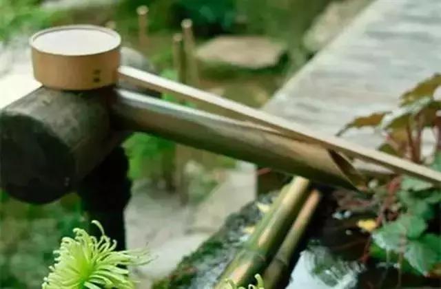 我会好好珍惜,真心和我相处的人