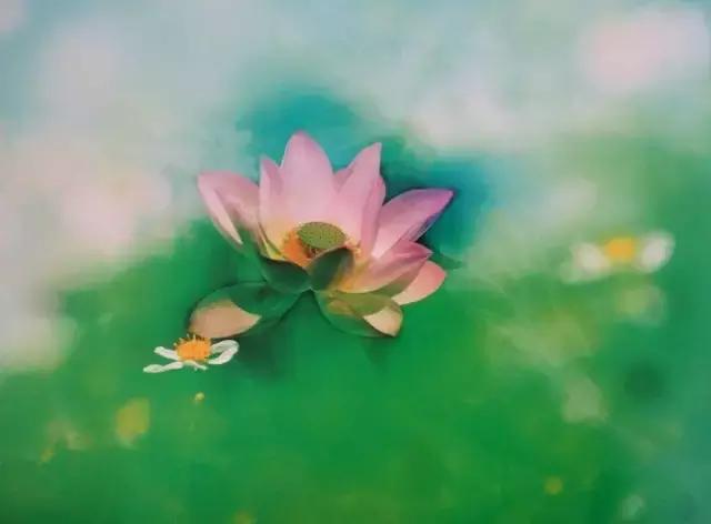 人生之大境界：心如莲花，念如菩提