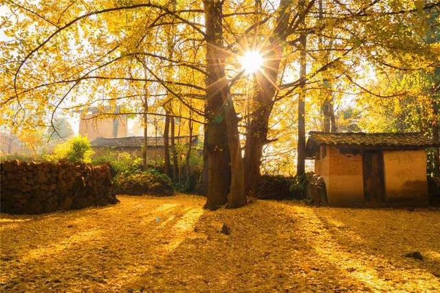 2017最新的鸡汤哲理语录，幽默，精辟，发朋友圈必赞