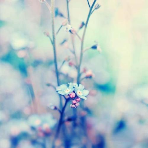 这个社会，人生在世，争的什么？