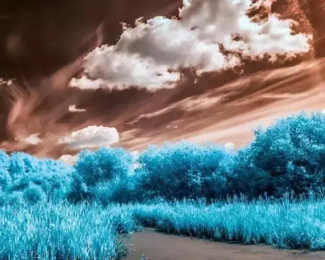 人在有钱时,人在没钱时!(句句见血) 人在有钱时,人在没钱时!(句句见血)