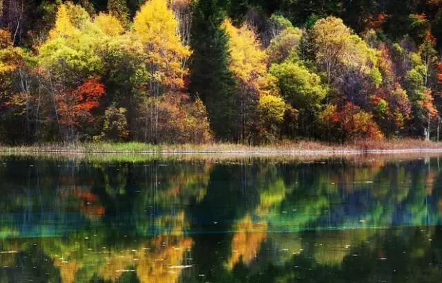 静守尘念,从容而安 静守尘念,从容而安