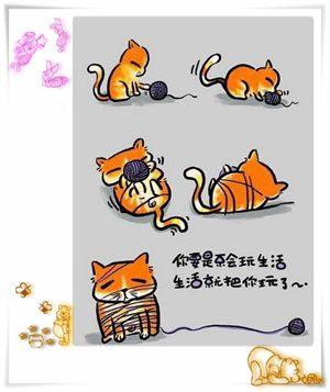 做人，尽本分，凭良心