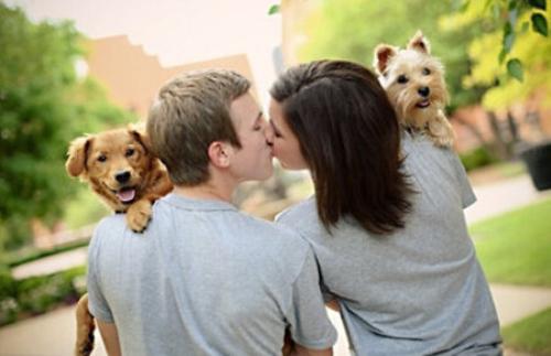 情感语录：不介意孤独，比爱你舒服