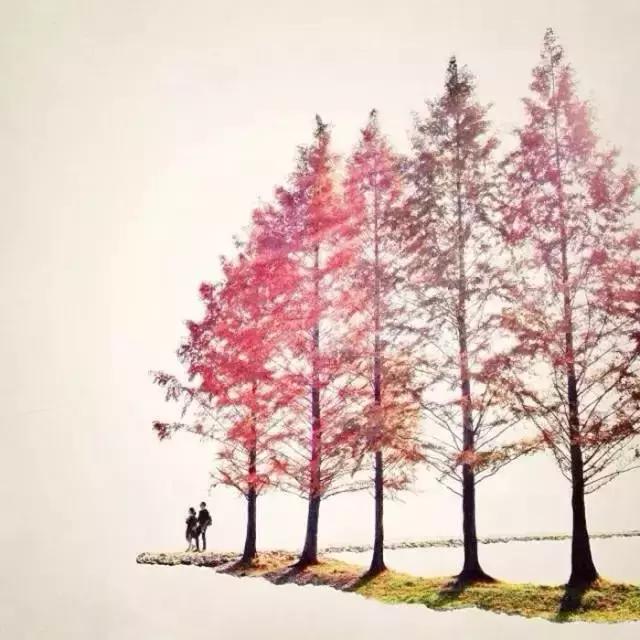 在你生命里出现的人,都是有原因的 在你生命里出现的人,都是有原因的