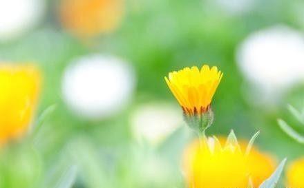珍惜你现在所拥有的，在他们变成曾经拥有前