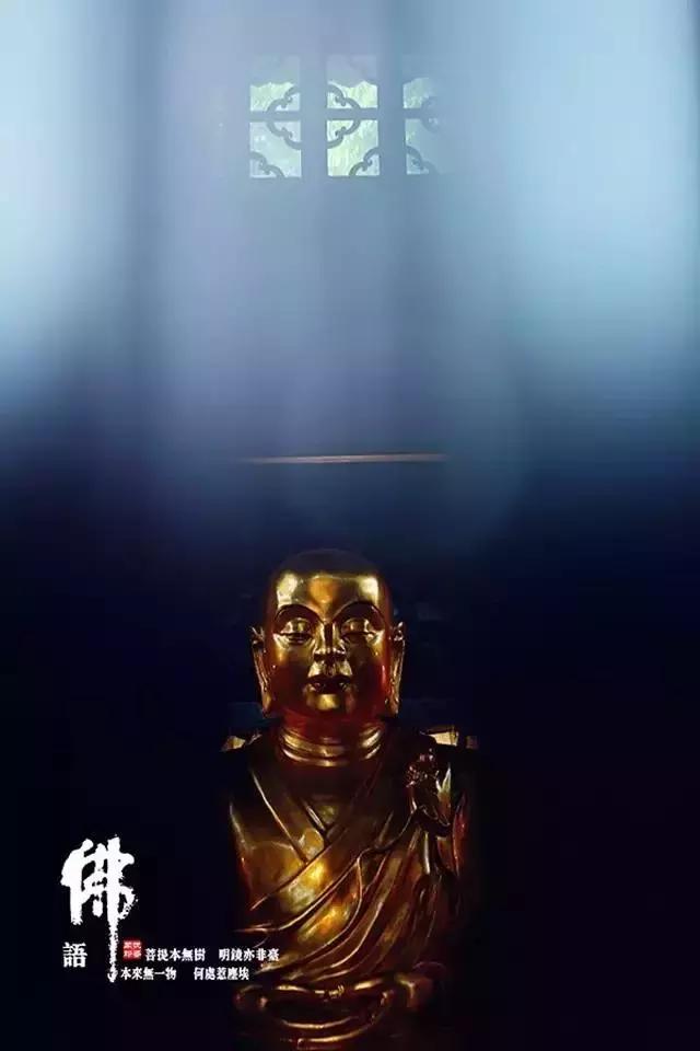 仓央嘉措的回声: 你的心,在污泥里开出一朵莲花 仓央嘉措的回声: 你的心,在污泥里开出一朵莲花